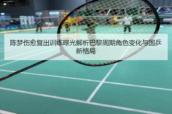 陈梦伤愈复出训练曝光解析巴黎周期角色变化与国乒新格局