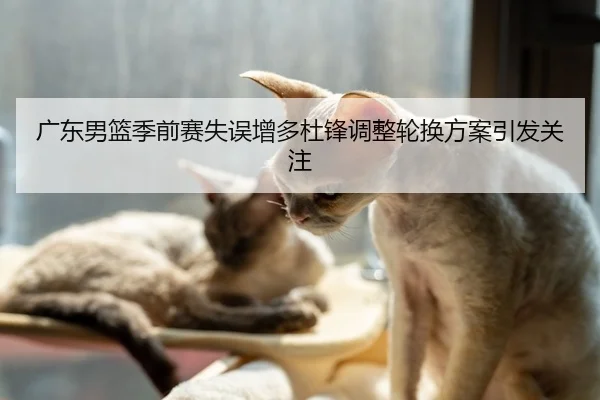 广东男篮季前赛失误增多杜锋调整轮换方案引发关注