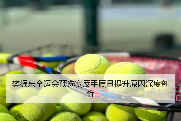 樊振东全运会预选赛反手质量提升原因深度剖析